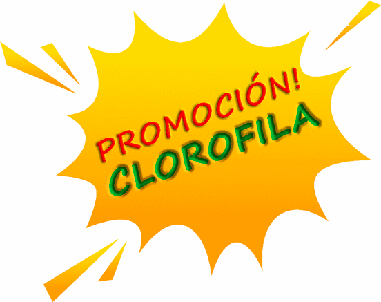 Pack Promocion Clorofila